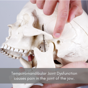 A skull with someone pointing to the TMJ (Temporomandibular Joint)