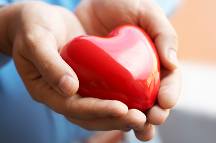 A personal holding a plastic heart in their hands